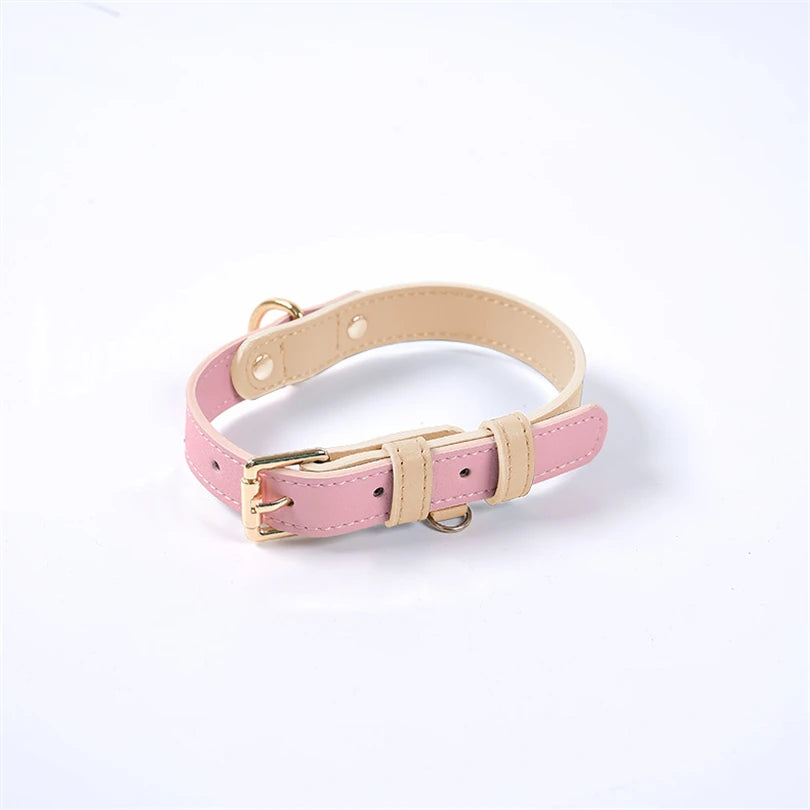 Color-blocked Genuine Leather Collar for Small to Medium-sized Dogs