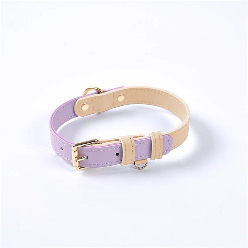 Color-blocked Genuine Leather Collar for Small to Medium-sized Dogs
