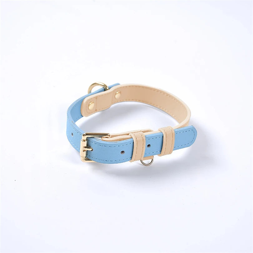Color-blocked Genuine Leather Collar for Small to Medium-sized Dogs